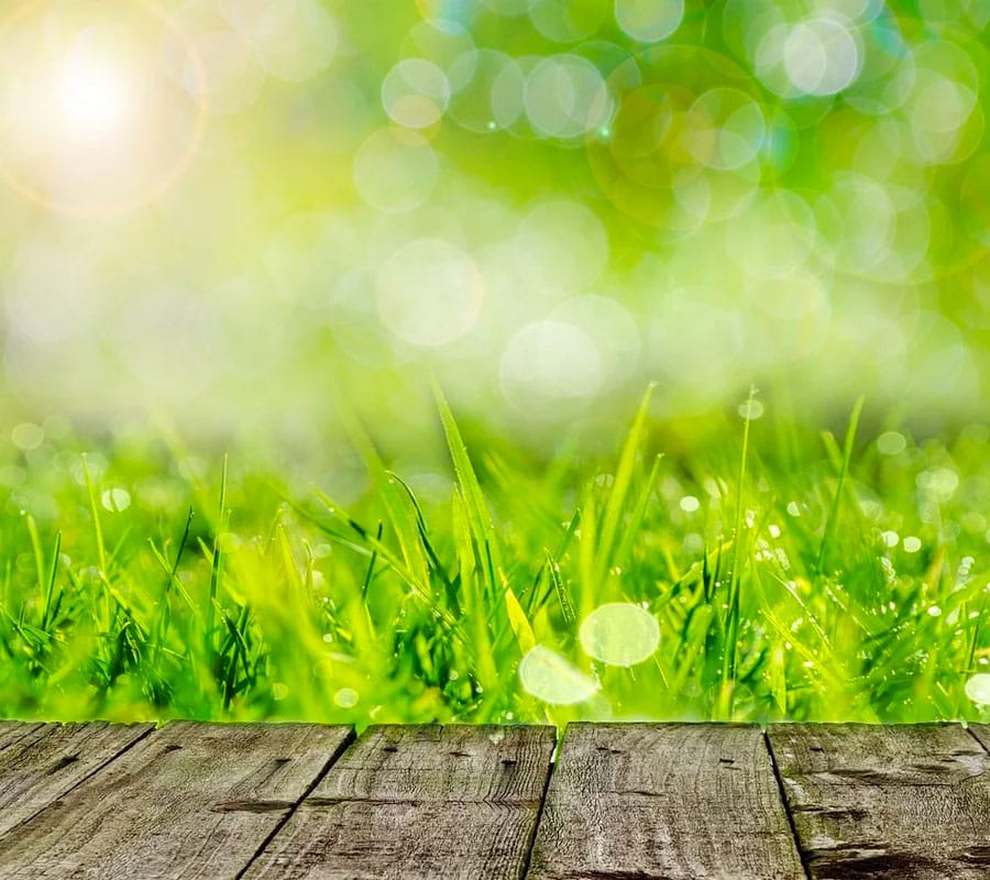 giardino-esclusivo-en